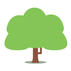 iniziative adozione piante treedom