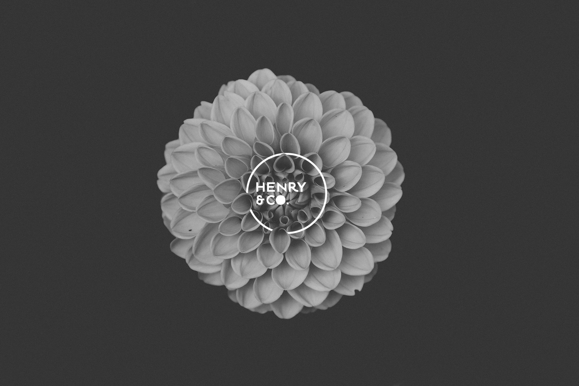 HENRY & CO. agenzia della sostenibilità