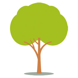 iniziative adozione piante treedom