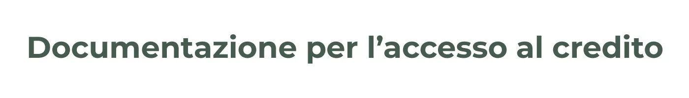 Documentazione per l'accesso al credito